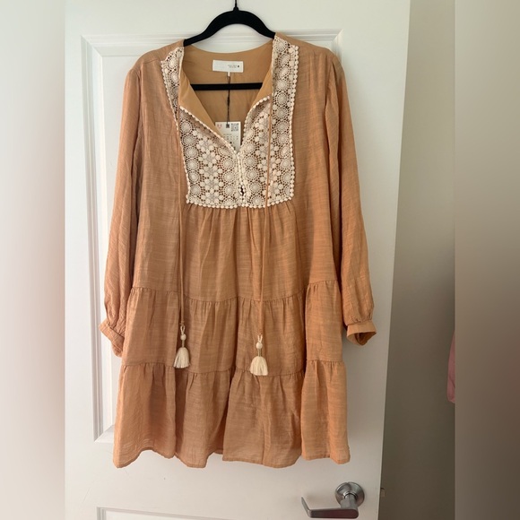 Zara Embroidered Bib Tassel Mini Dress in Tan Peach Size Large - Picture 7 of 16